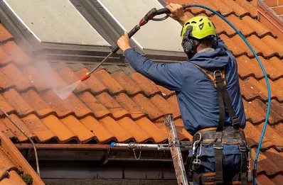 Démoussage et hydrofuge de toiture à Doussay